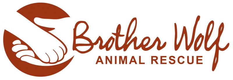 Brother Wolf Animal Rescue